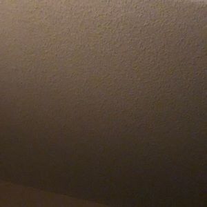 Meet your Posher, Dalia